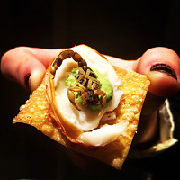 Scorpions You Can Eat